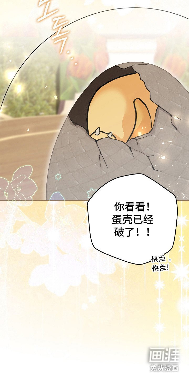 第19章：幼龙