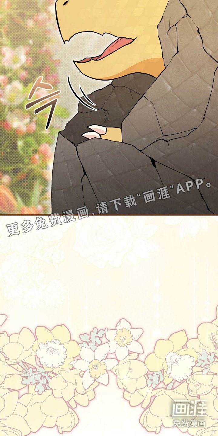 第19章：幼龙