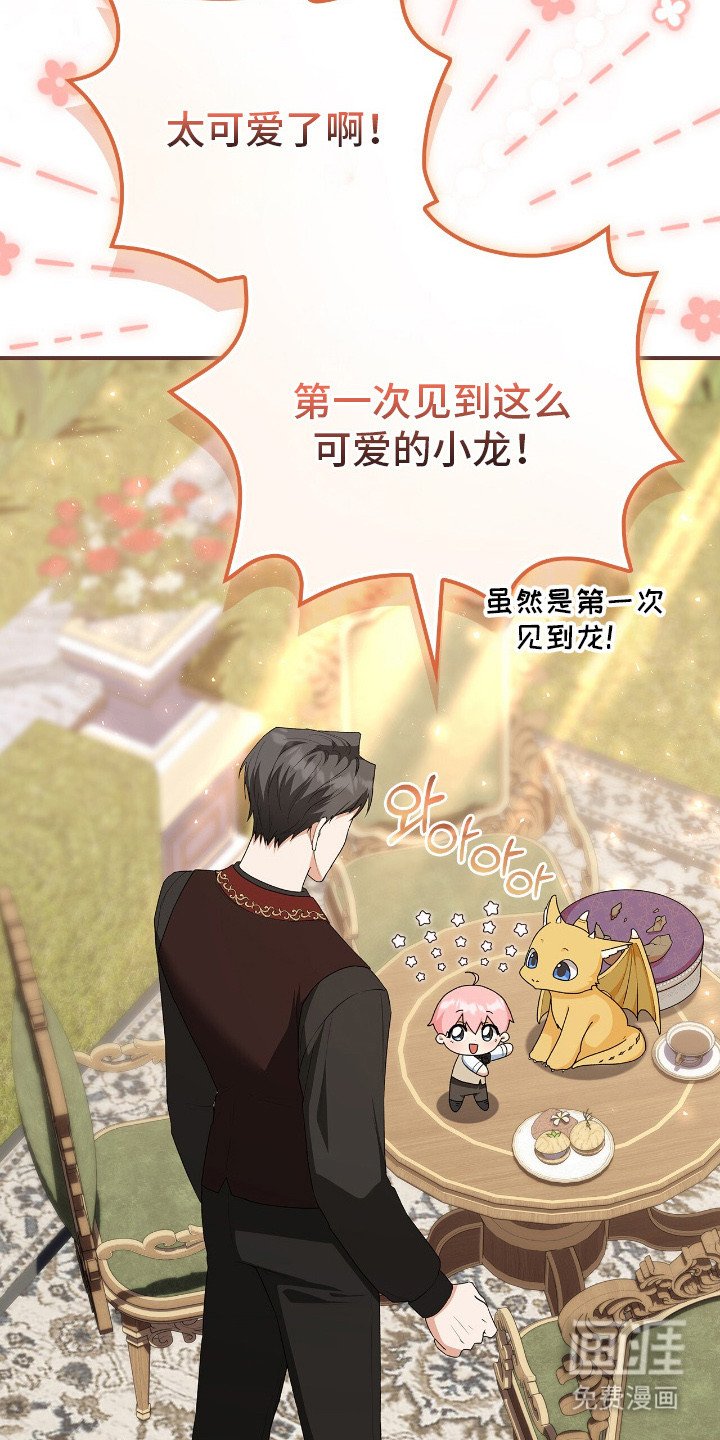 第19章：幼龙