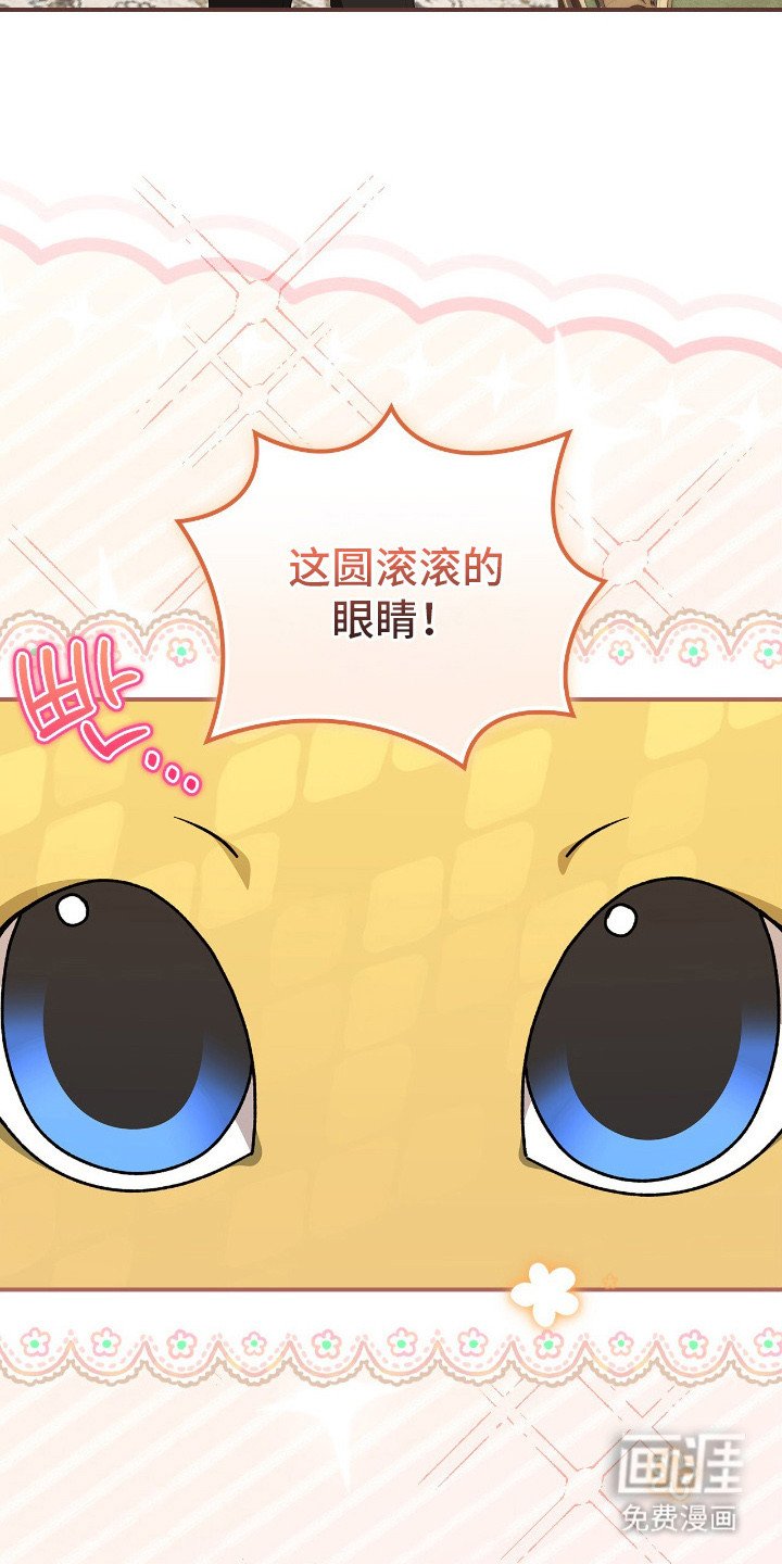 第19章：幼龙