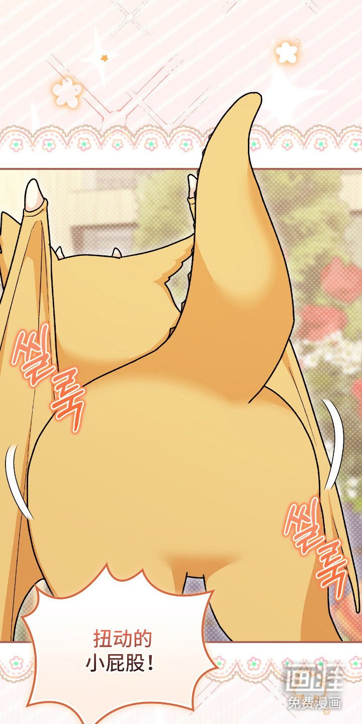 第19章：幼龙