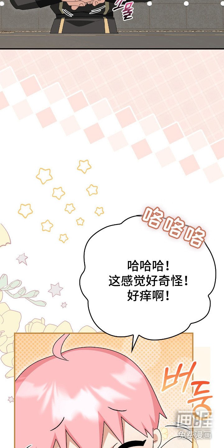 第23章：揉棉花