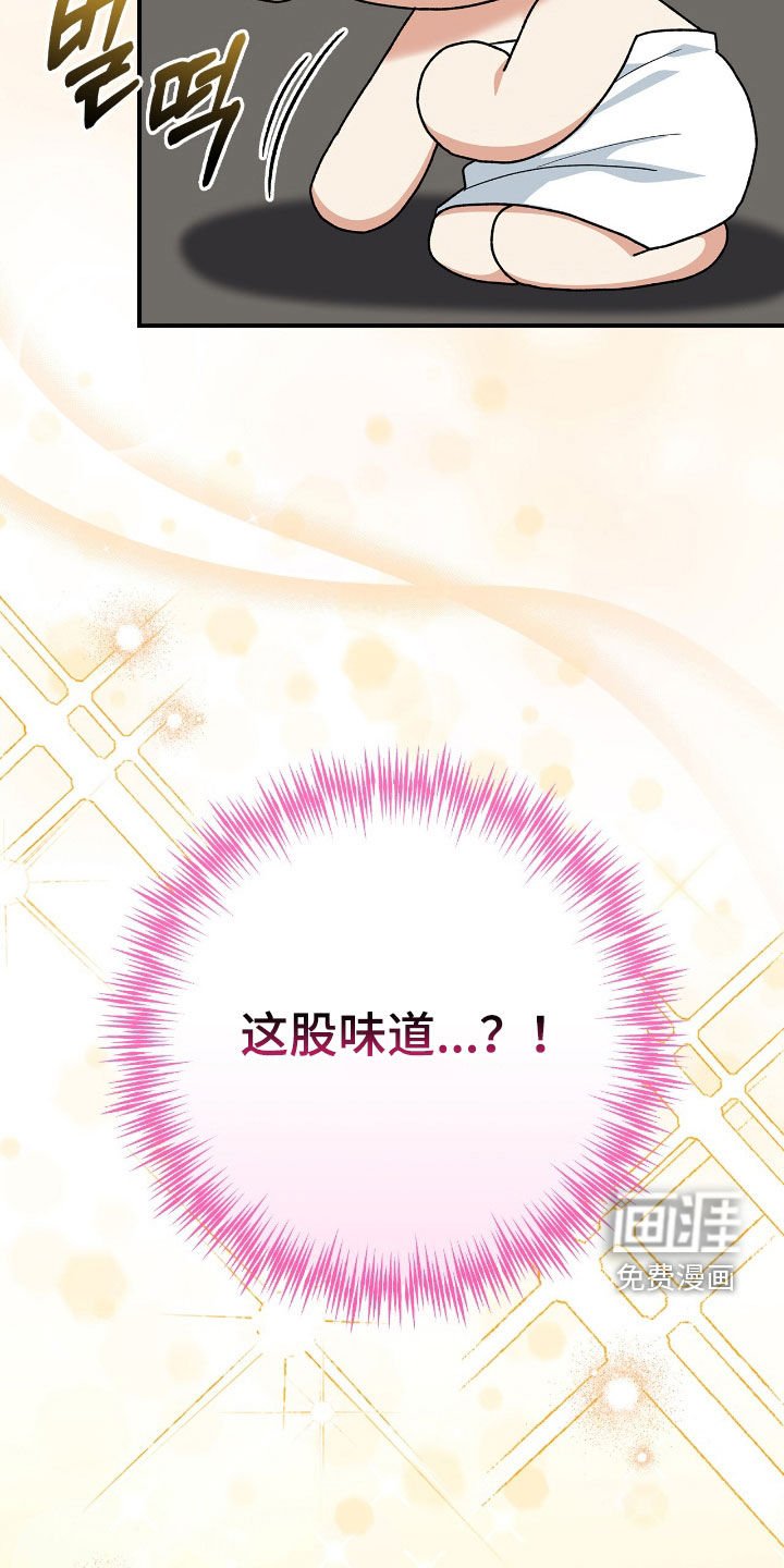 第25章：故乡的味道