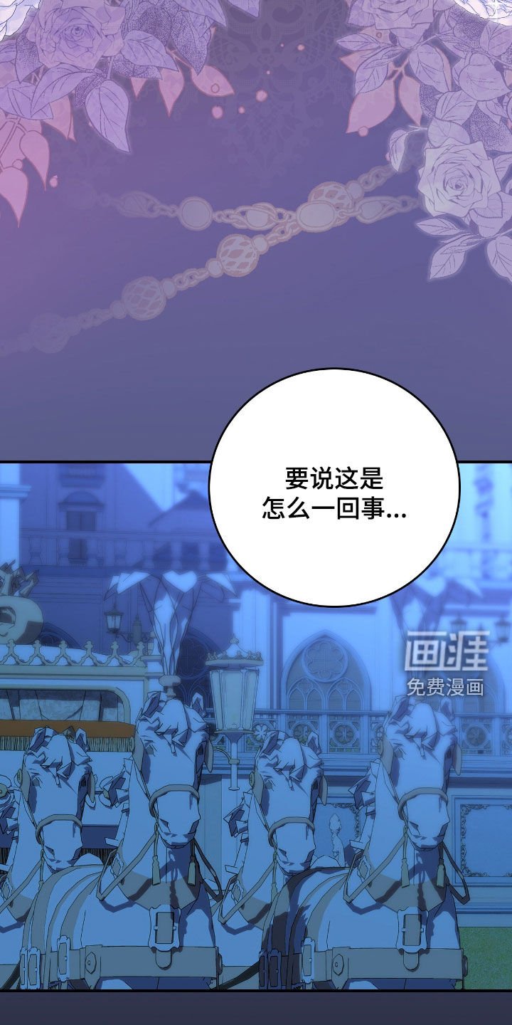 第36章：越来越有趣了