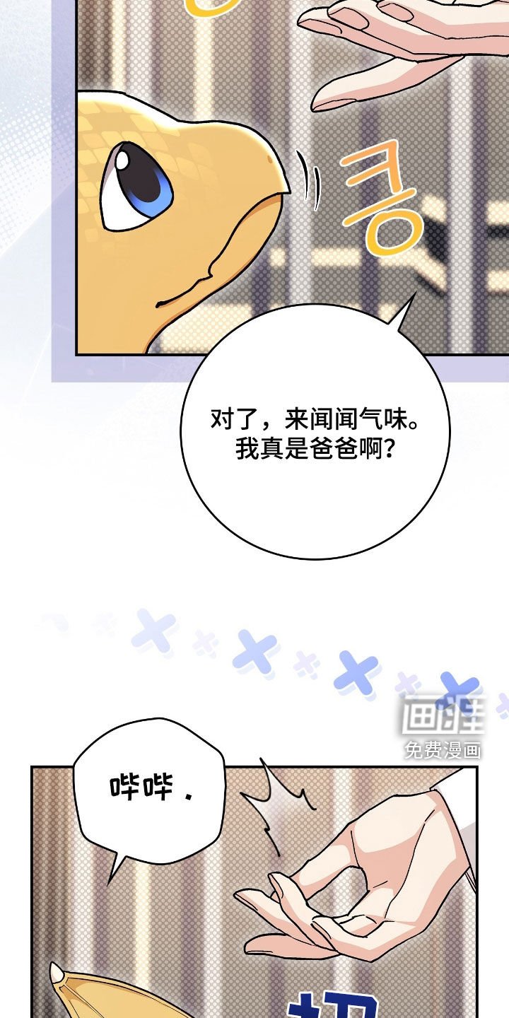 第39章：幻听