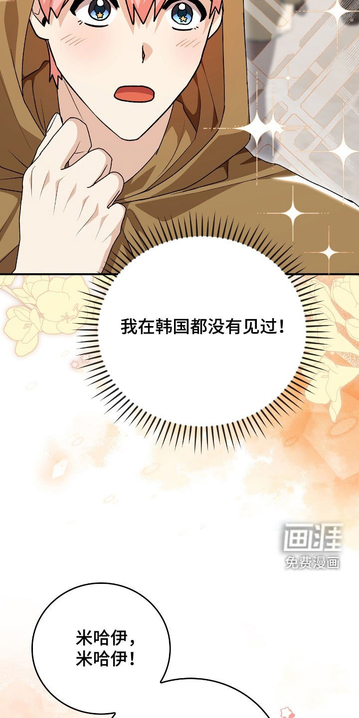 第44章：马戏团