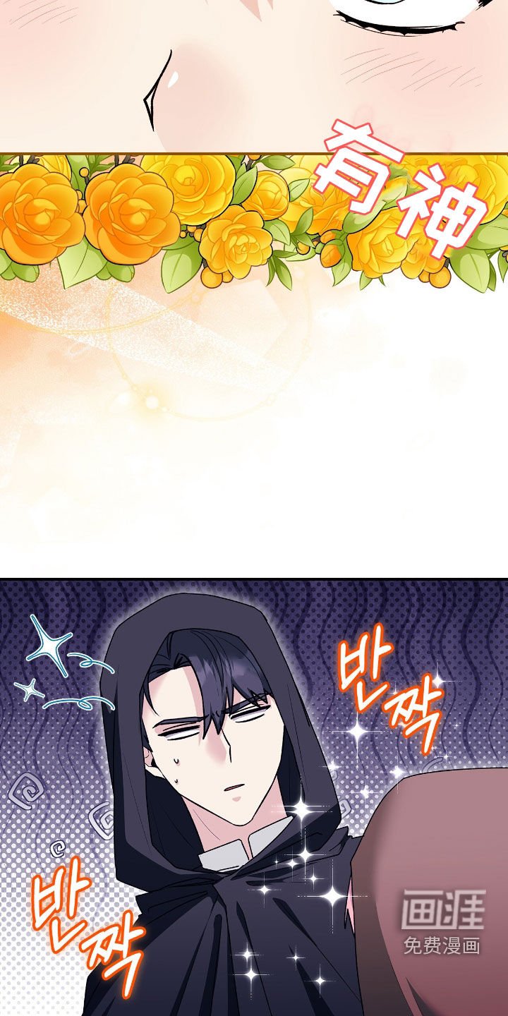 第44章：马戏团