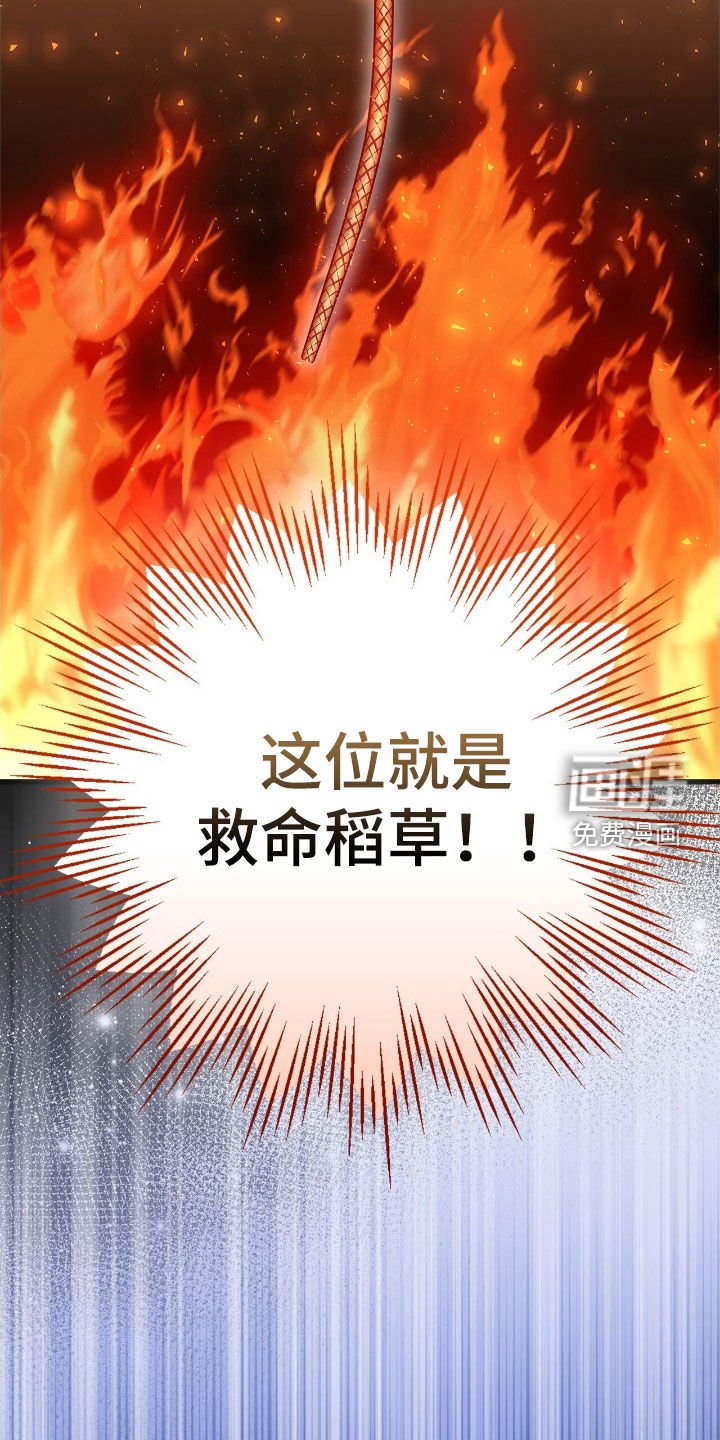 第47章：救命稻草