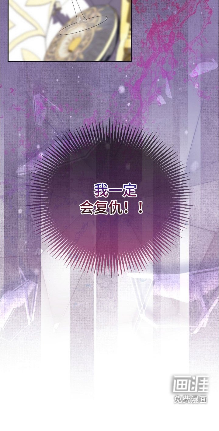 第51章：一定会复仇