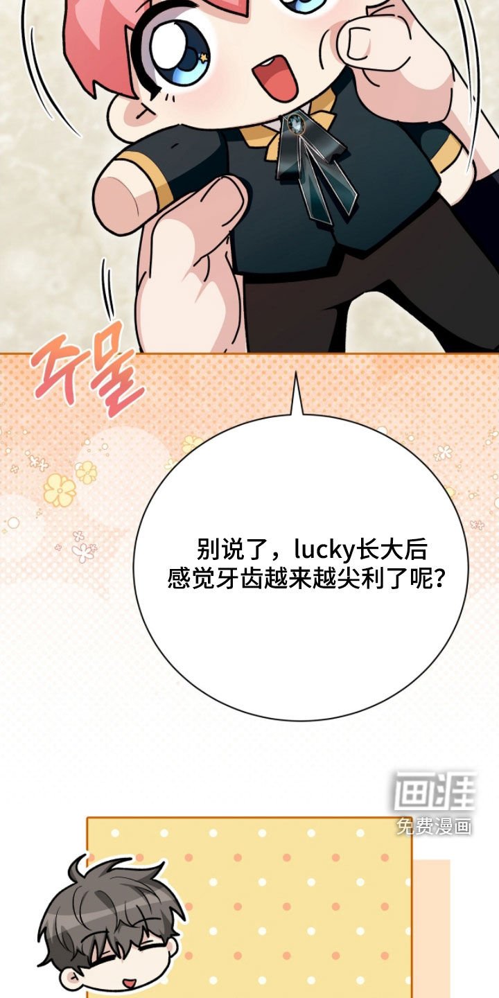 第54章：邀请函