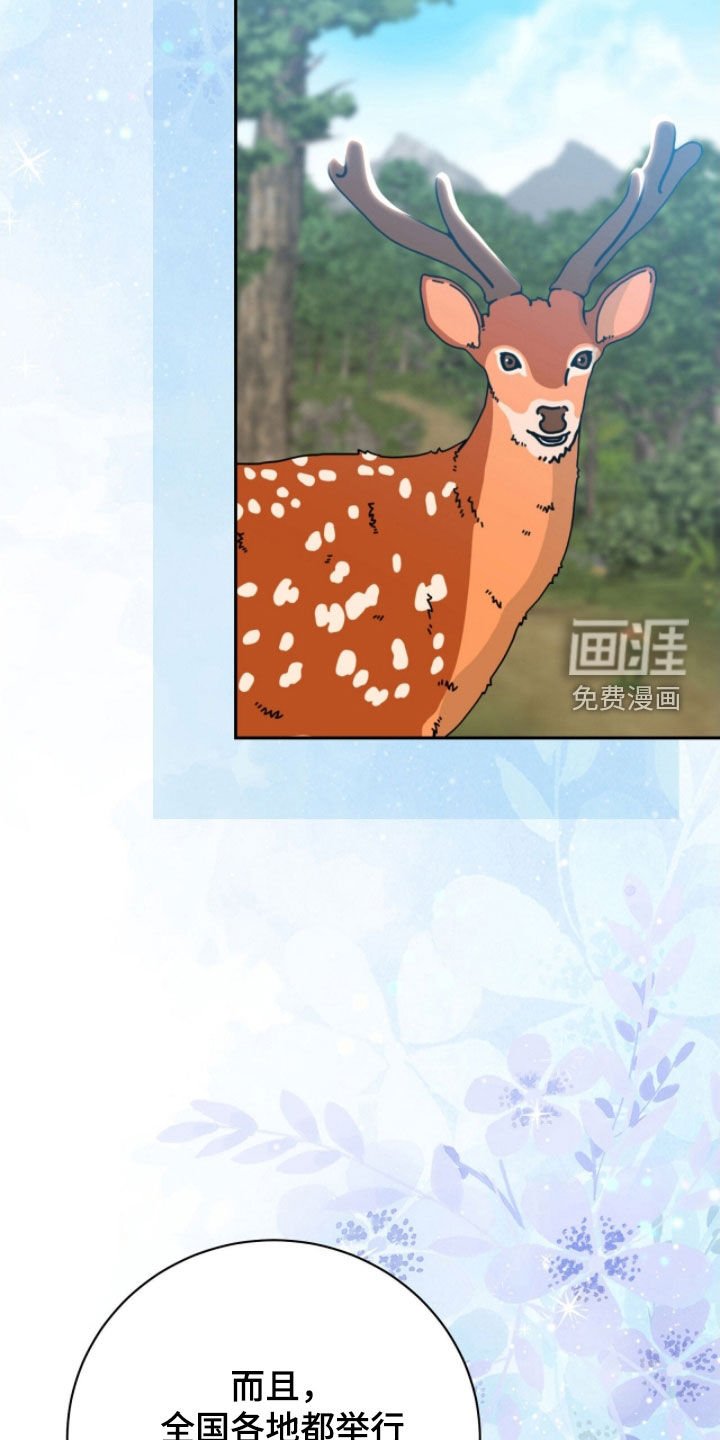 第55章：光之庆典