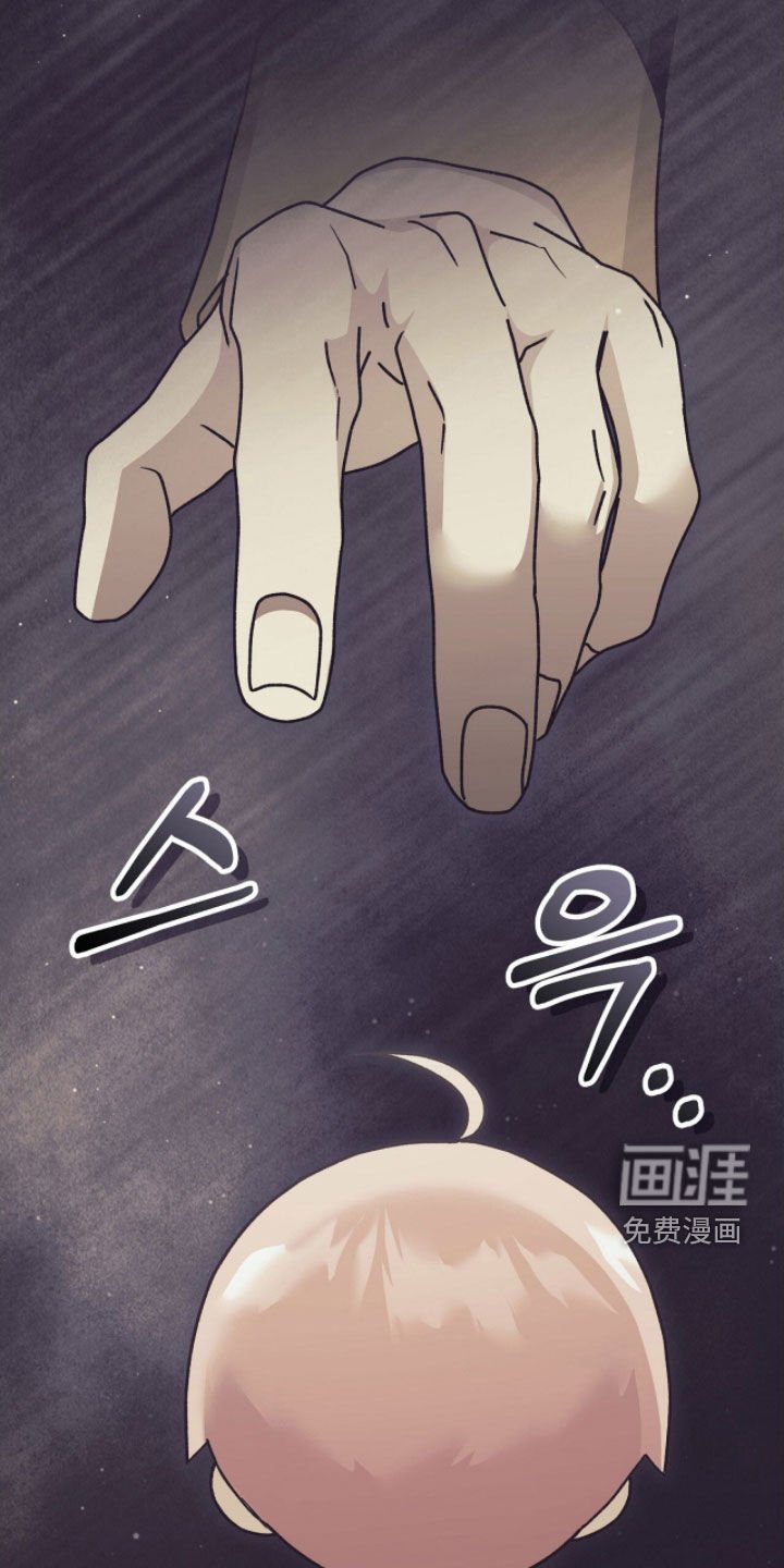 第55章：光之庆典