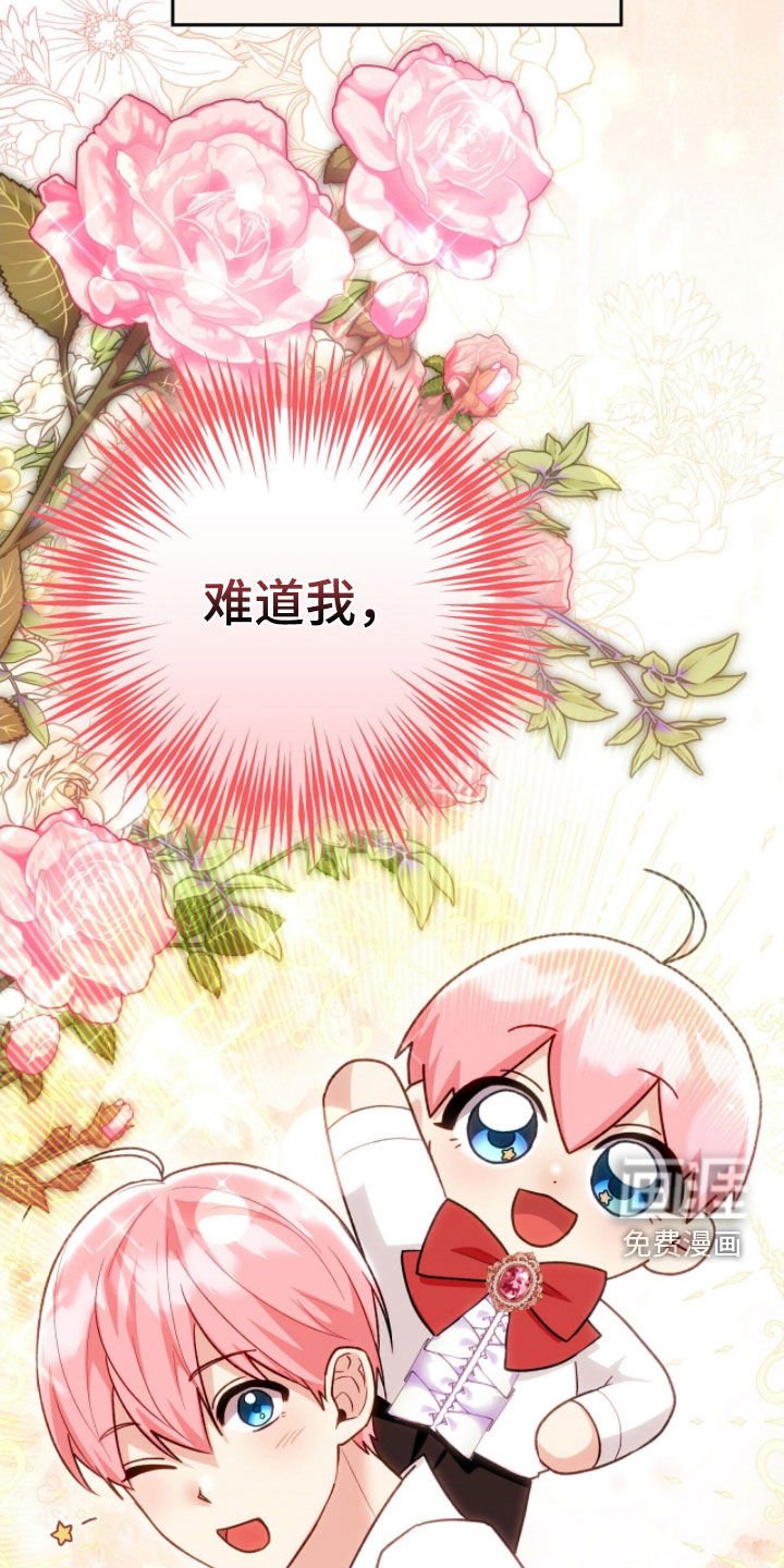 第55章：光之庆典