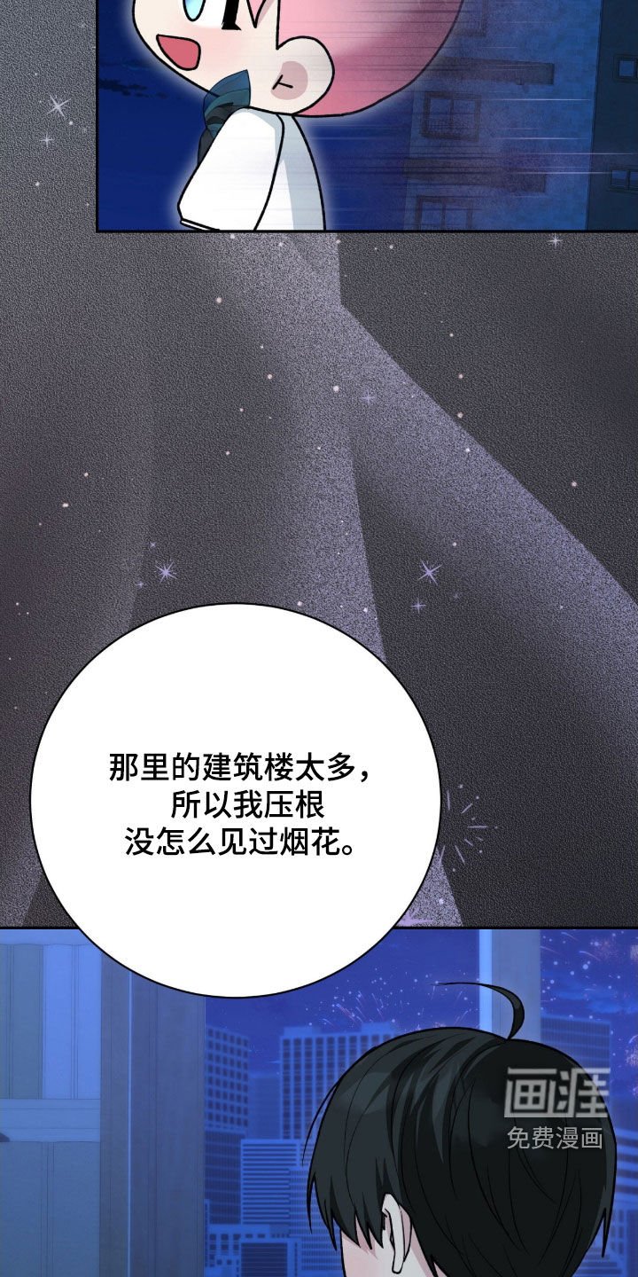 第57章：烟花秀