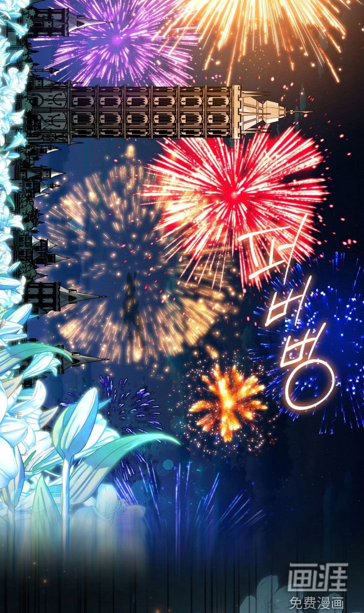 第57章：烟花秀
