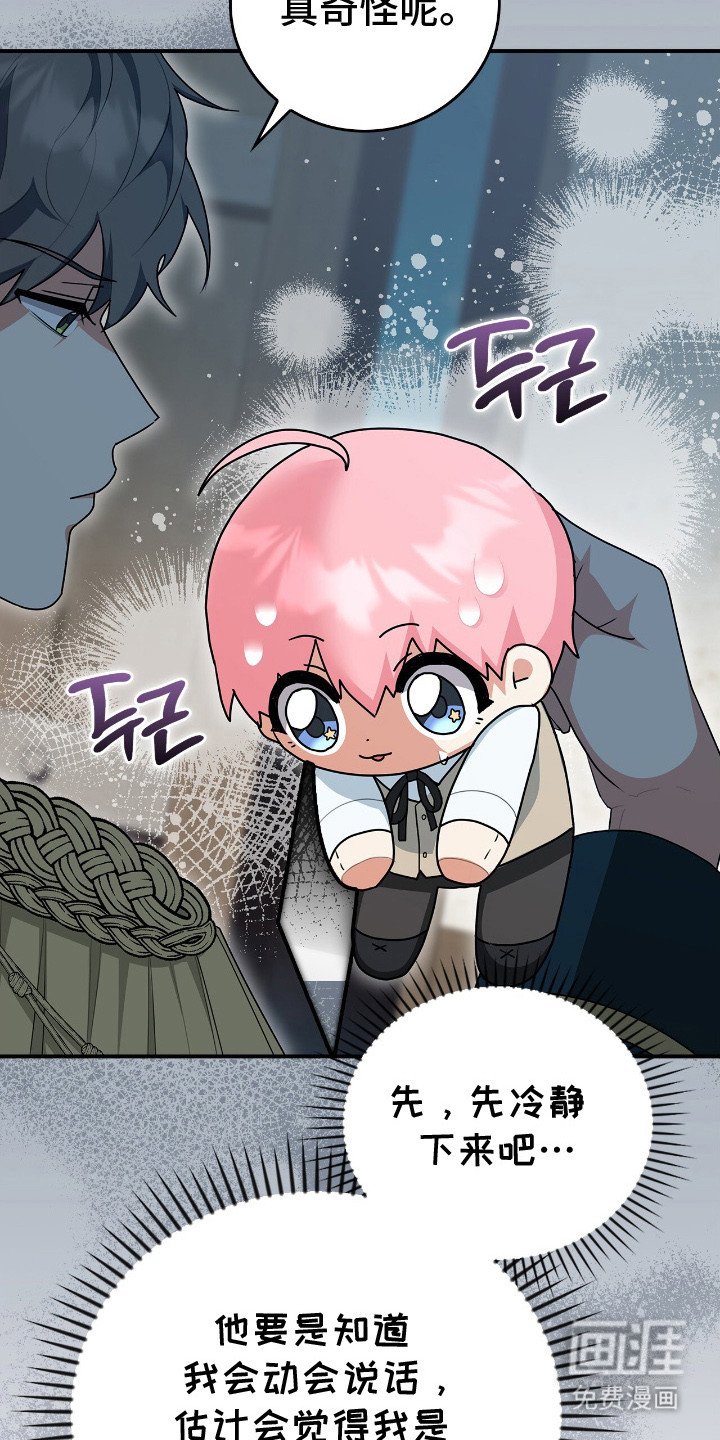 第6章：大公