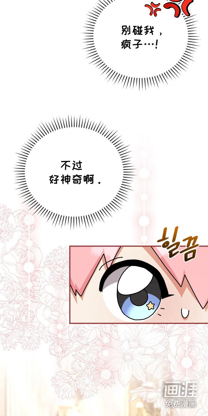 第6章：大公