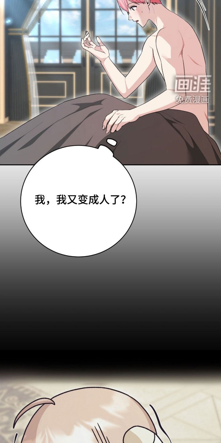 第65章：又变成人了