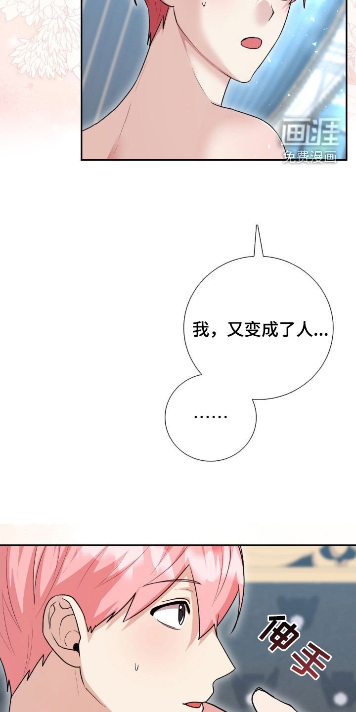 第65章：又变成人了