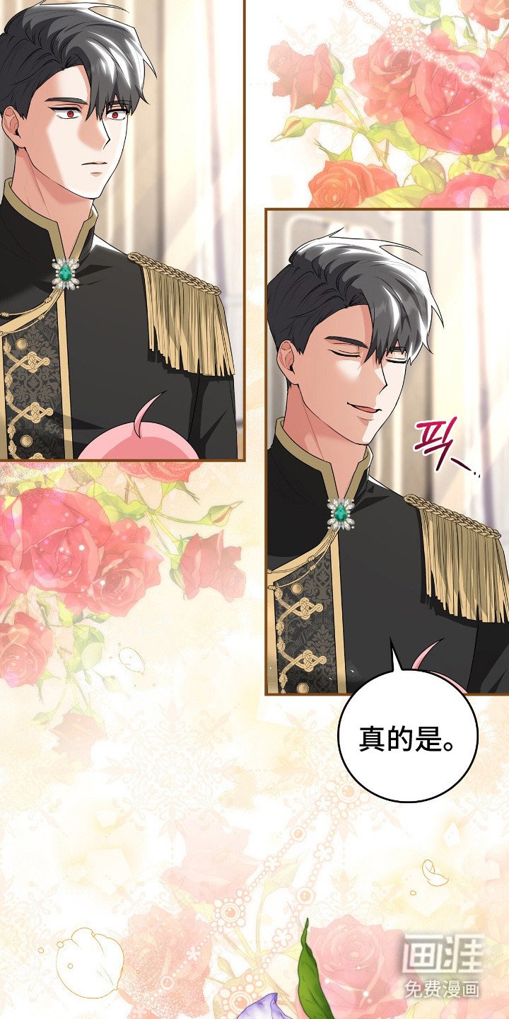第7章：珍藏