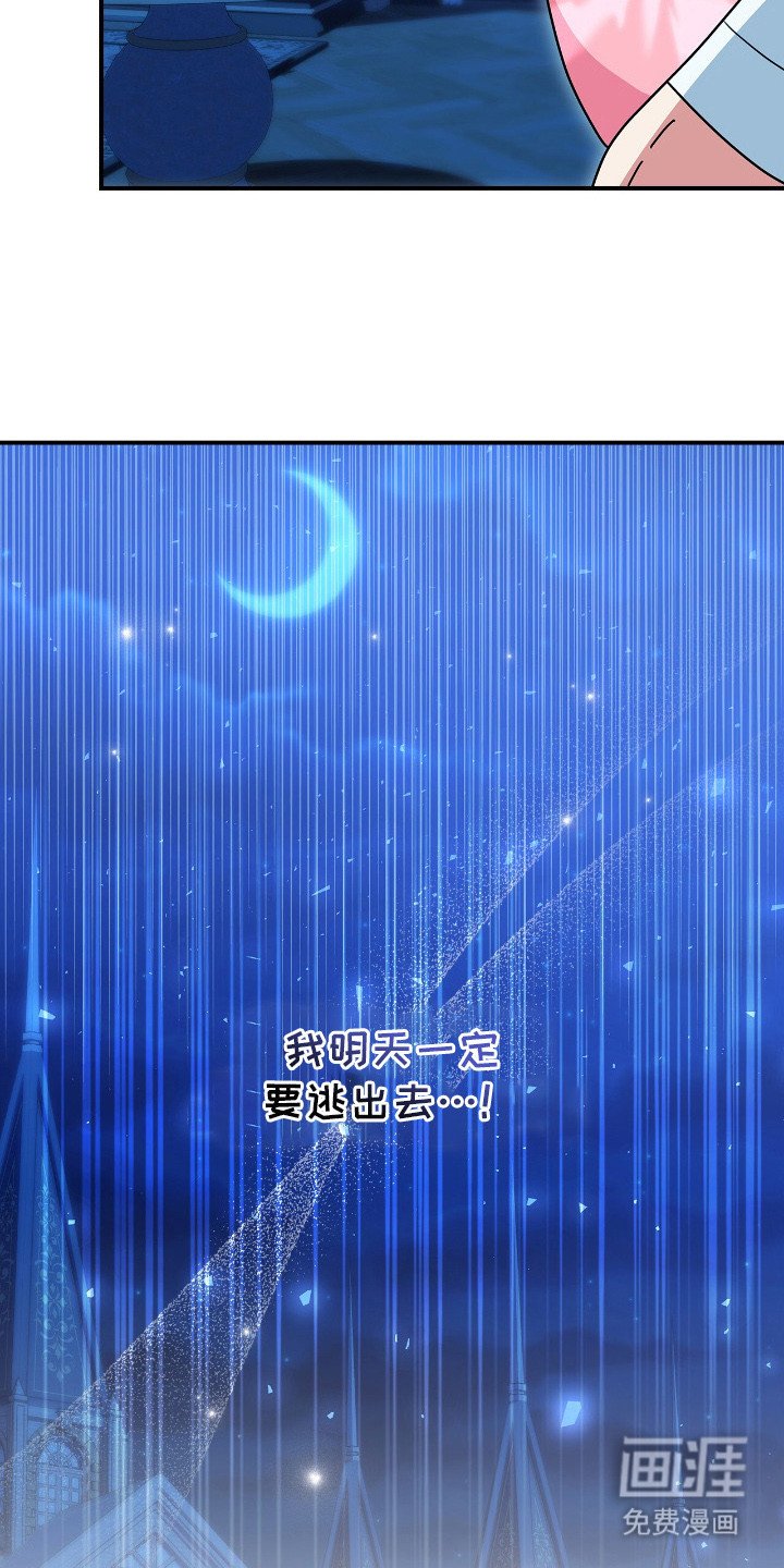 第7章：珍藏