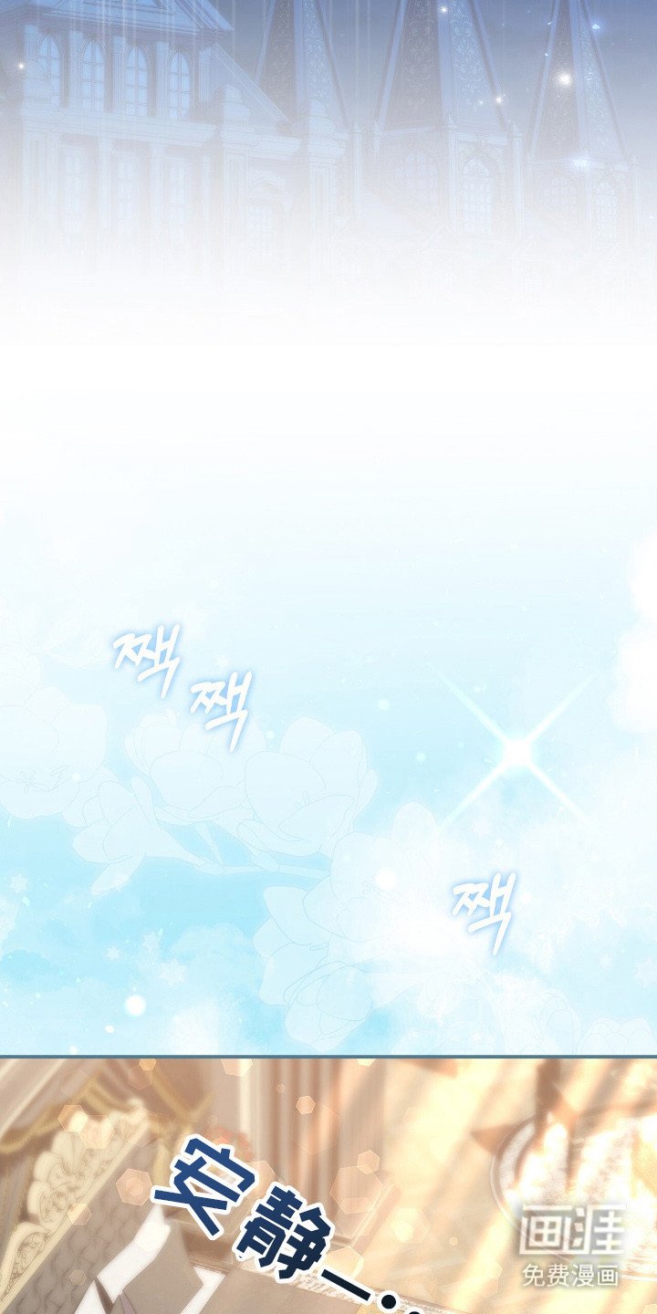 第7章：珍藏