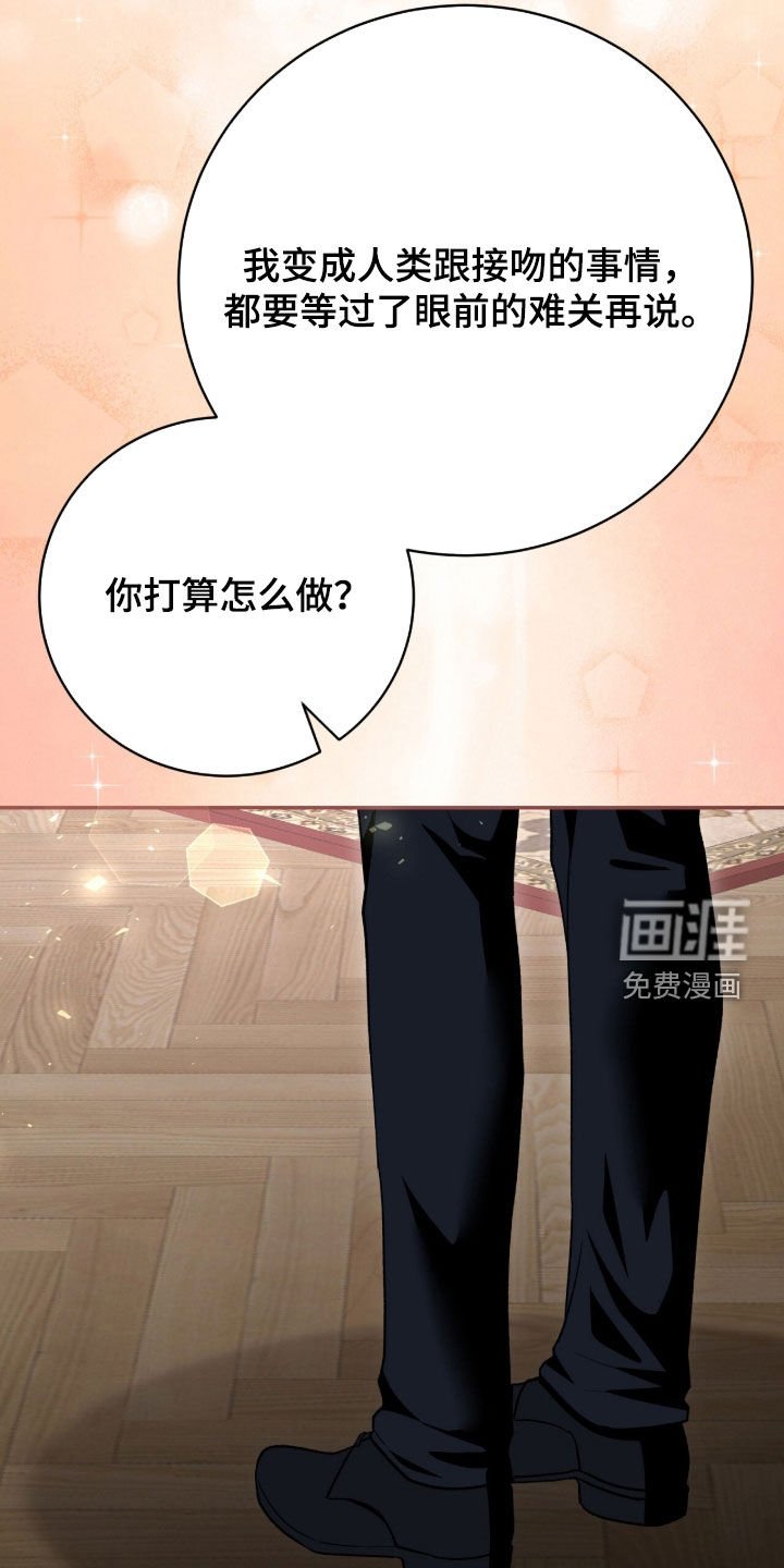 第73章：最后一次仰望