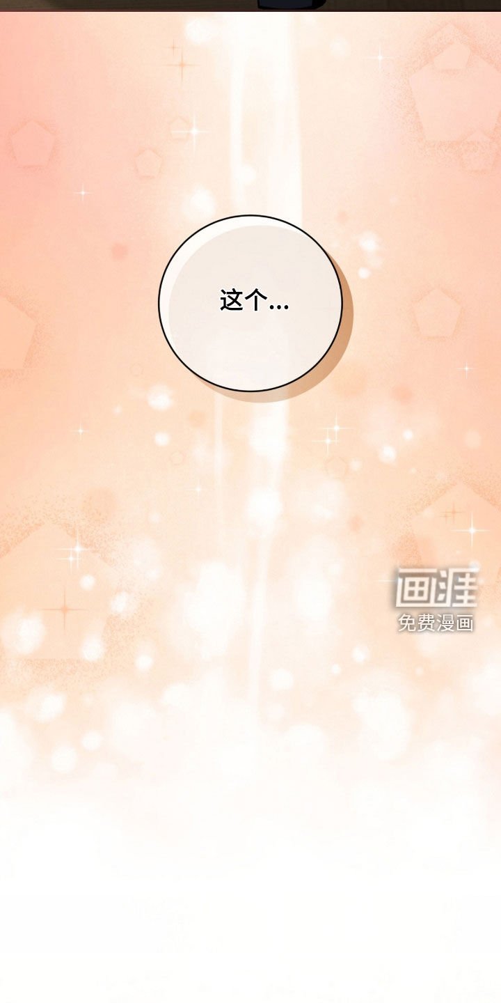 第73章：最后一次仰望