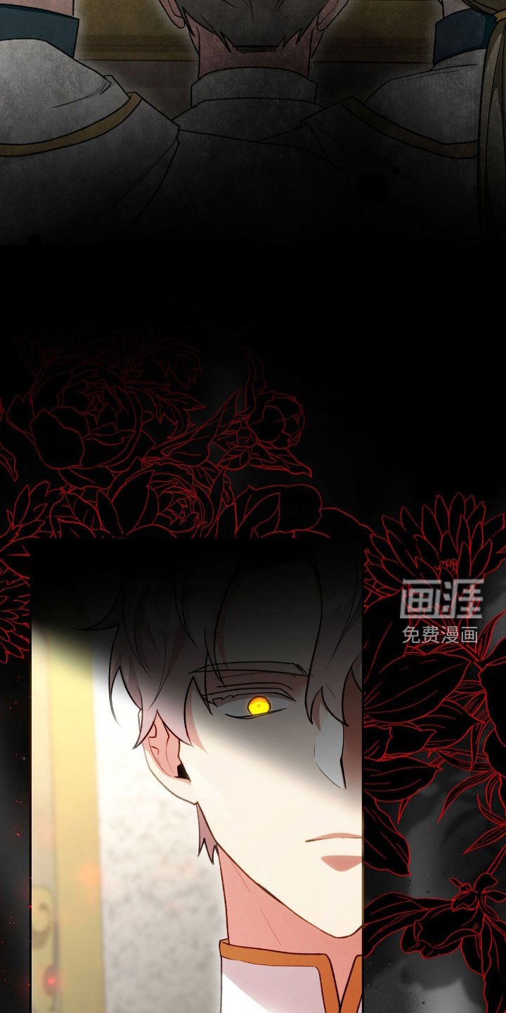第73章：最后一次仰望