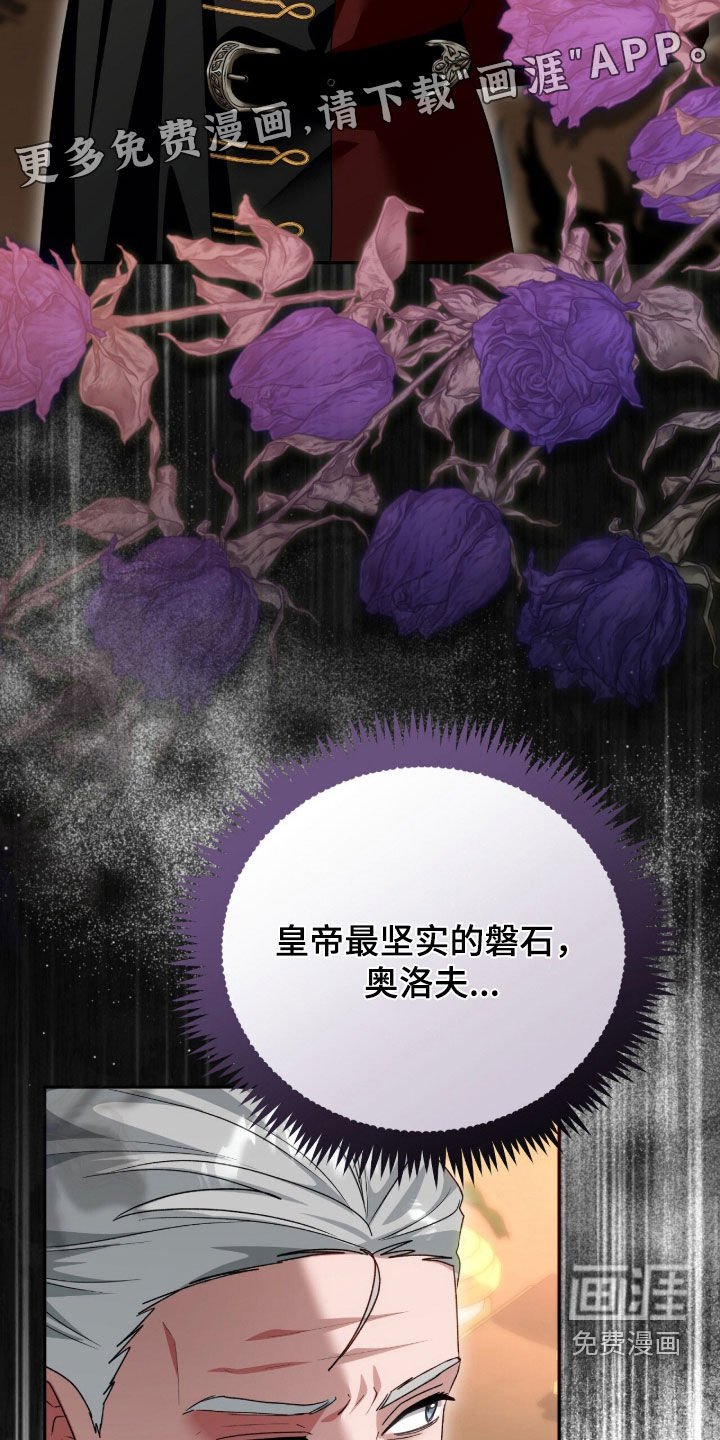 第74章：搜查