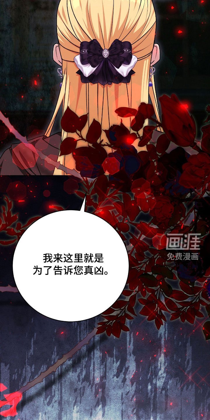 第79章：幕后黑手