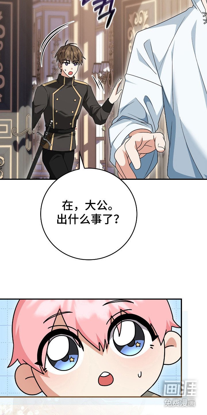 第8章：确认状况