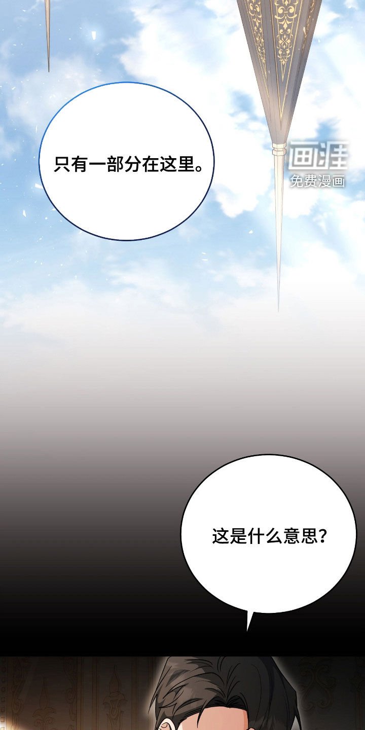 第83章：灵魂分裂