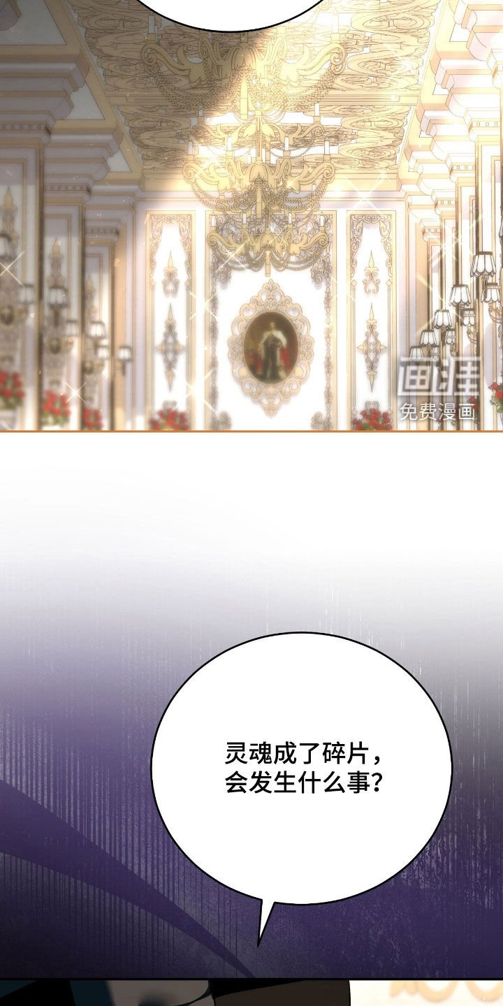 第83章：灵魂分裂
