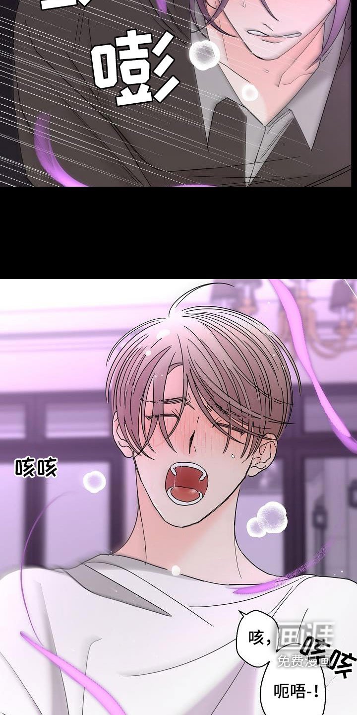 第42章：春天来了