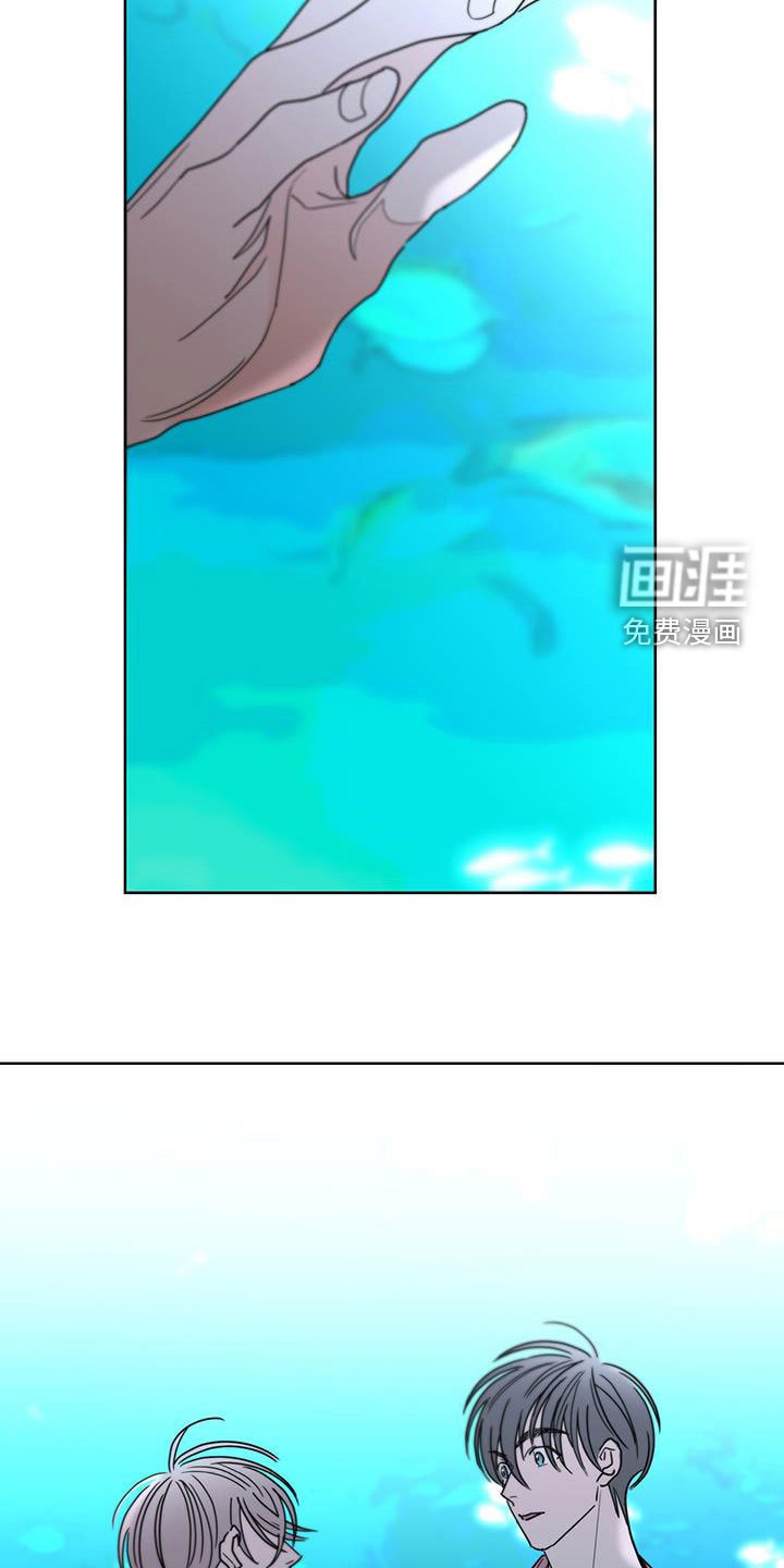 第46章：快去吧