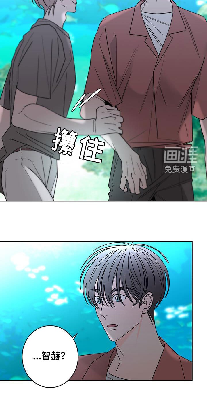第46章：快去吧