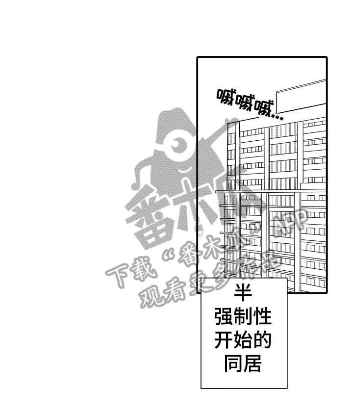第18章：在意