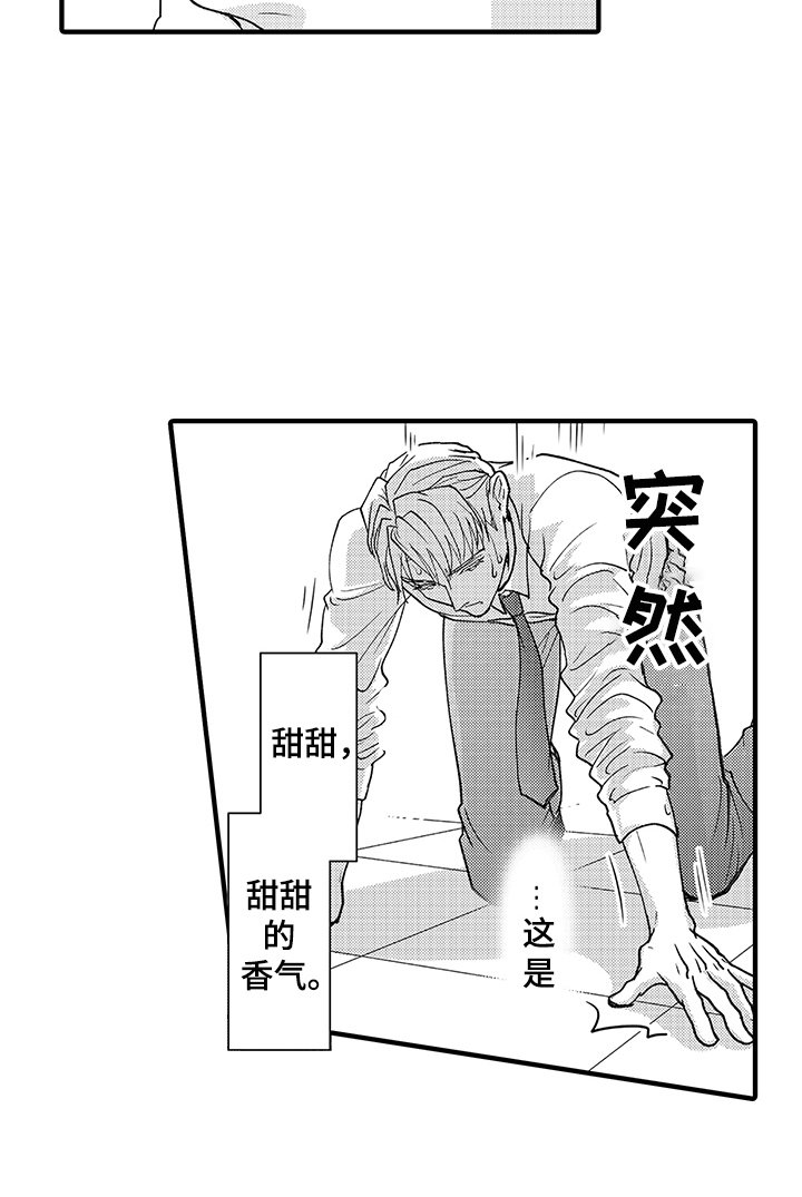 第3章：发作