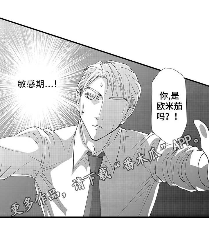 第3章：发作