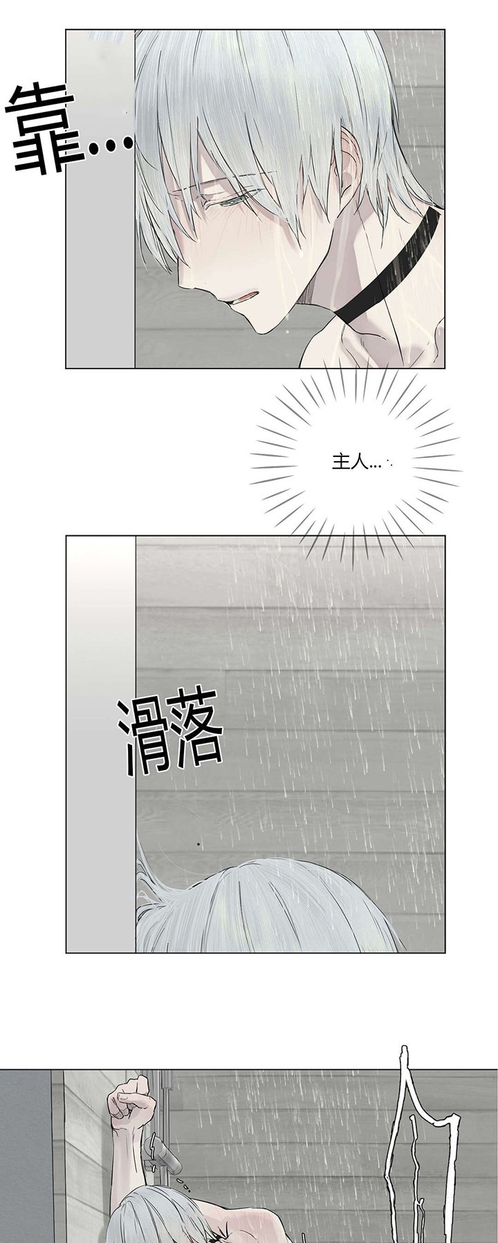 第12章：营养剂的梗