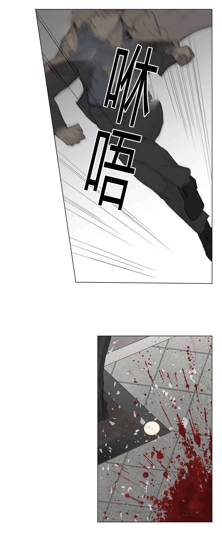 第12章：营养剂的梗