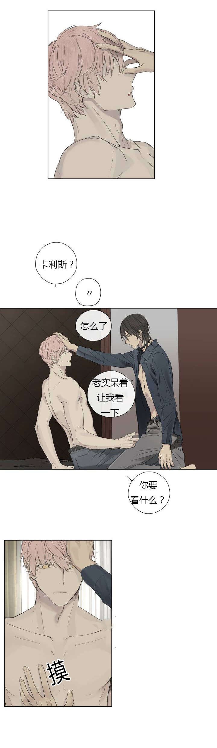第12章：营养剂的梗