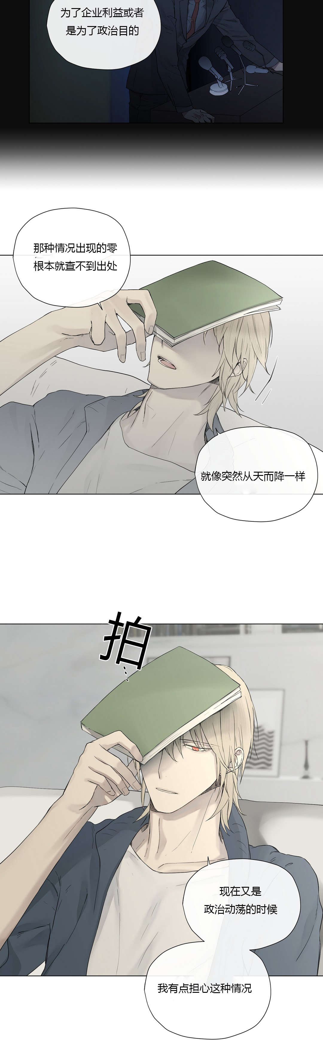 第20章：神秘组织