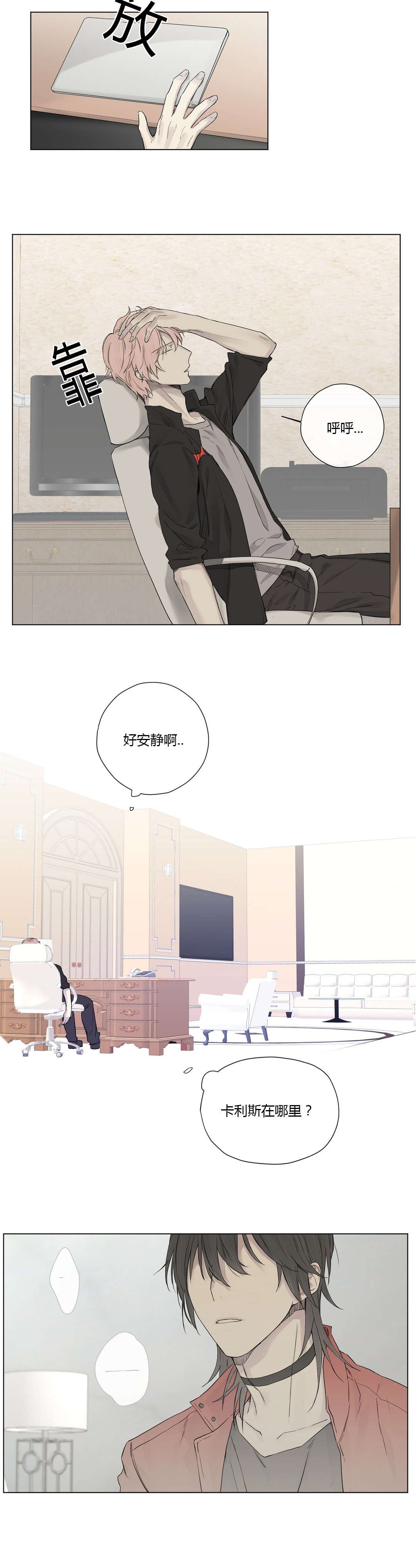 第20章：神秘组织