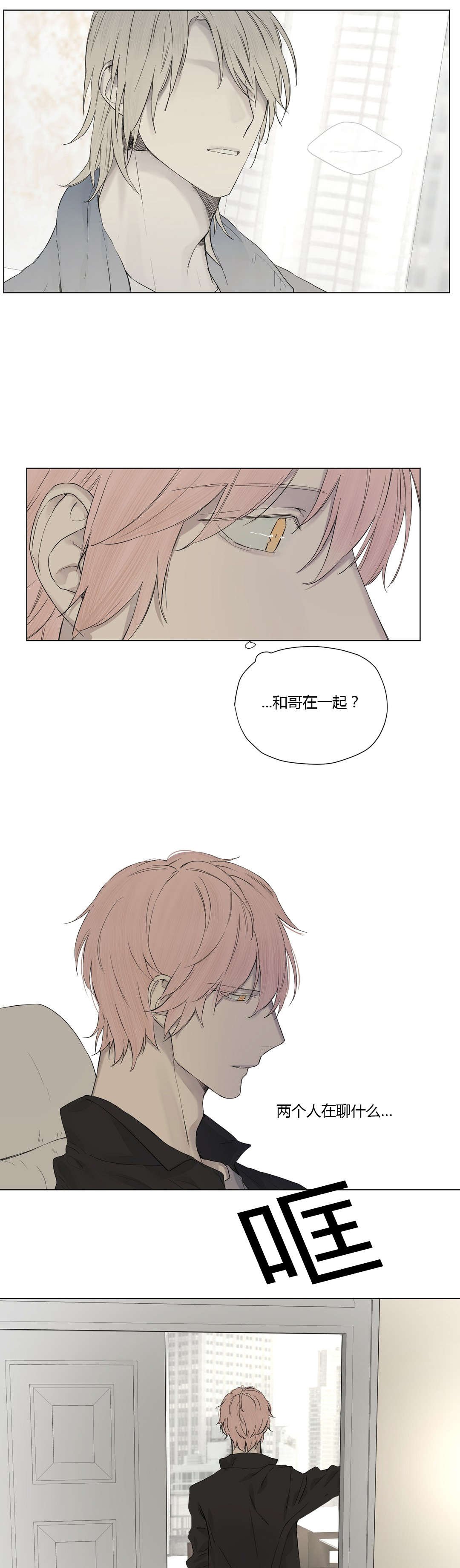 第20章：神秘组织