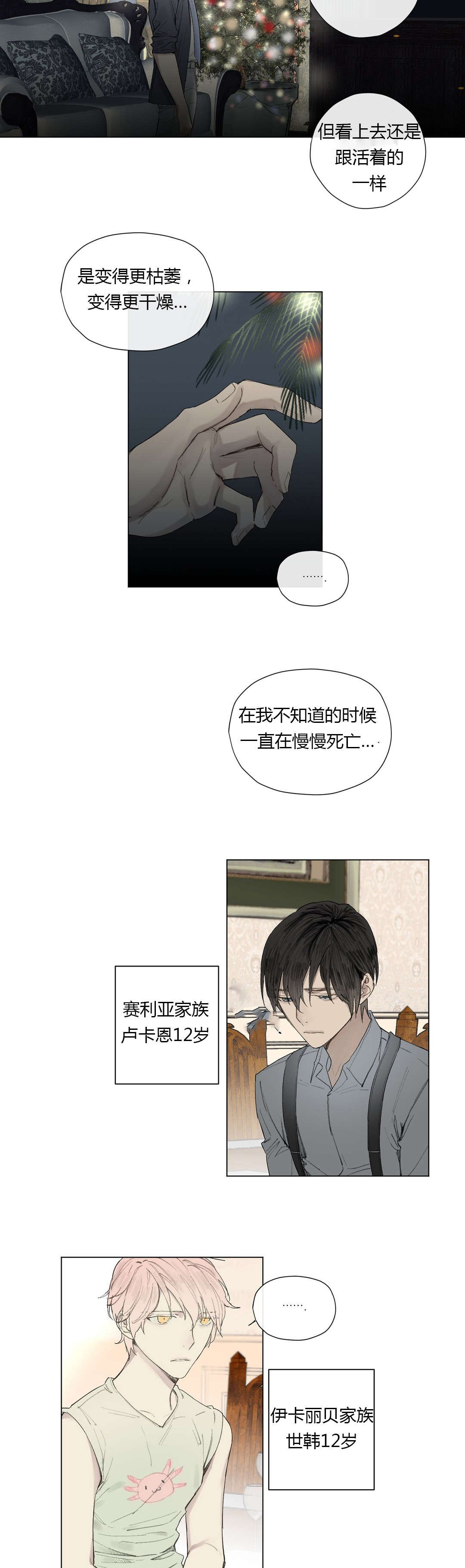 第26章：曾经少年（1）