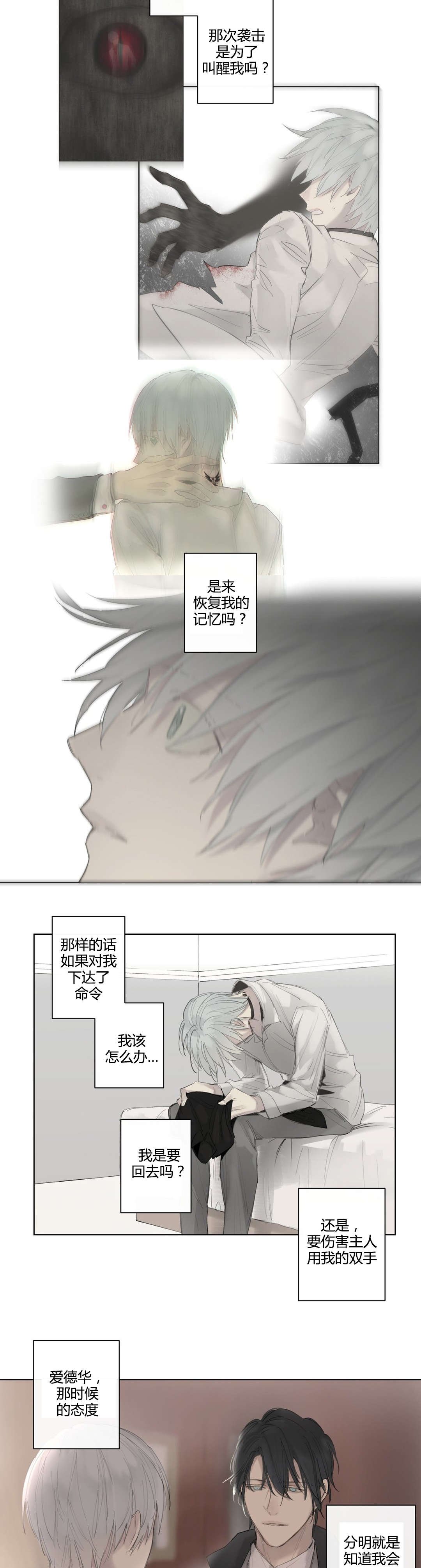 第41章：抹去的记忆