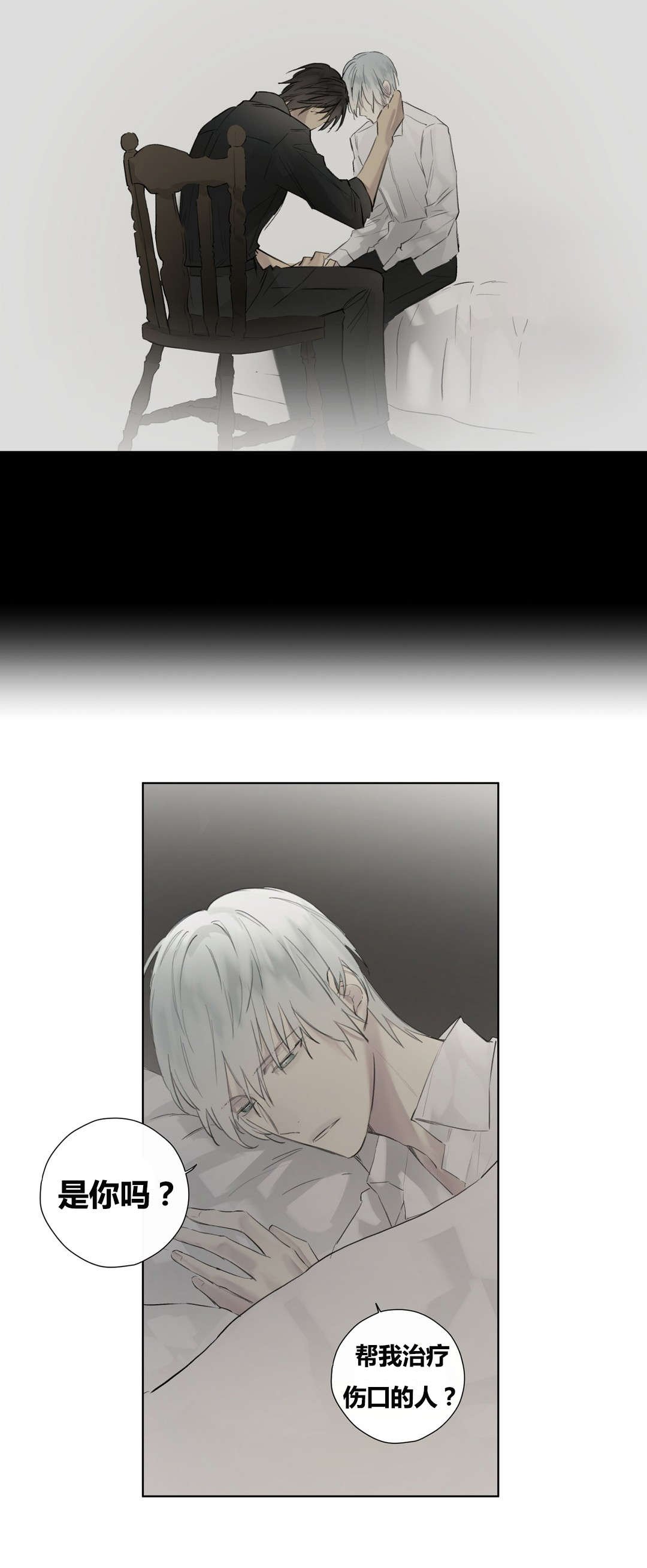 第48章：纹样不见了