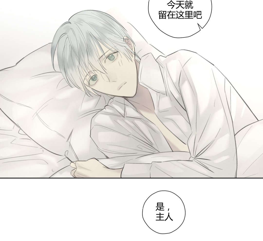 第52章：落水